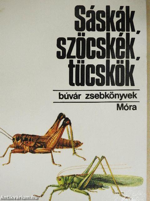Sáskák, szöcskék, tücskök
