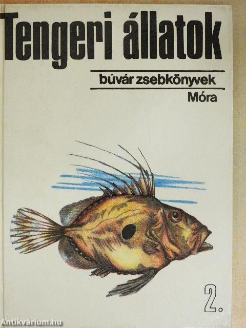 Tengeri állatok 2.
