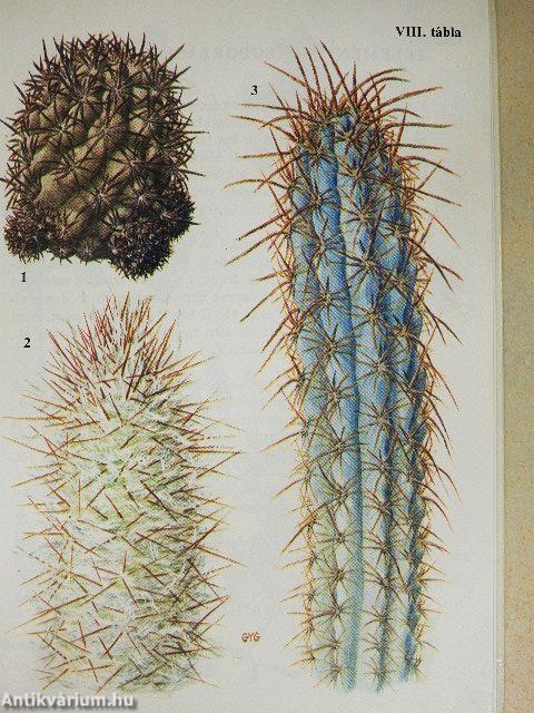 Különös növények