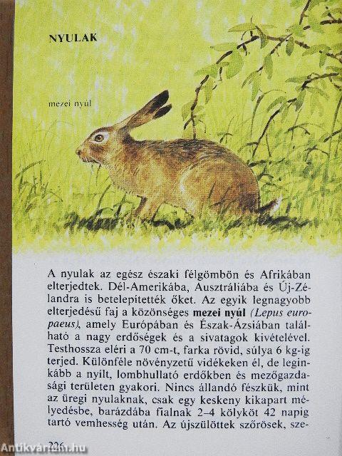 Állatkerti emlősök 1-2.