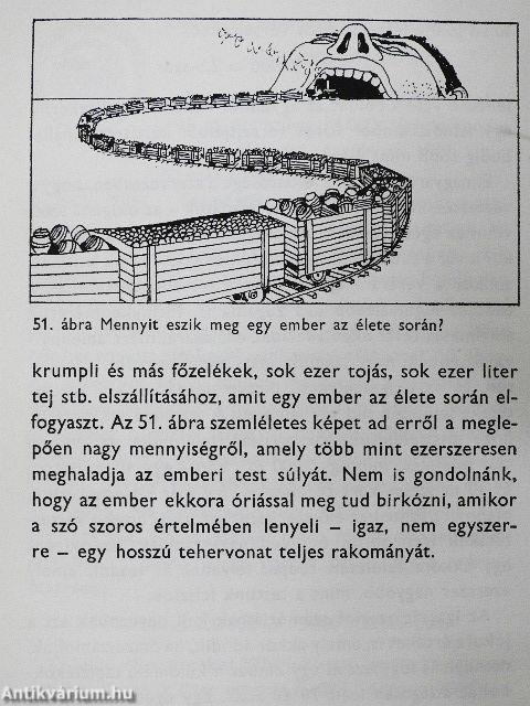 Matematikai történetek és rejtvények