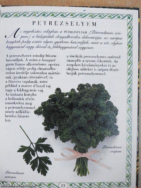 Kerti fűszernövények