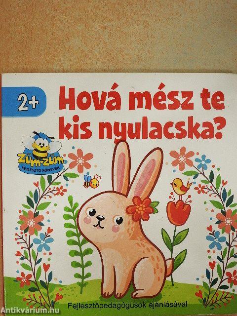 Hová mész te kis nyulacska?
