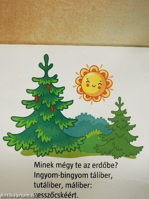 Hová mész te kis nyulacska?