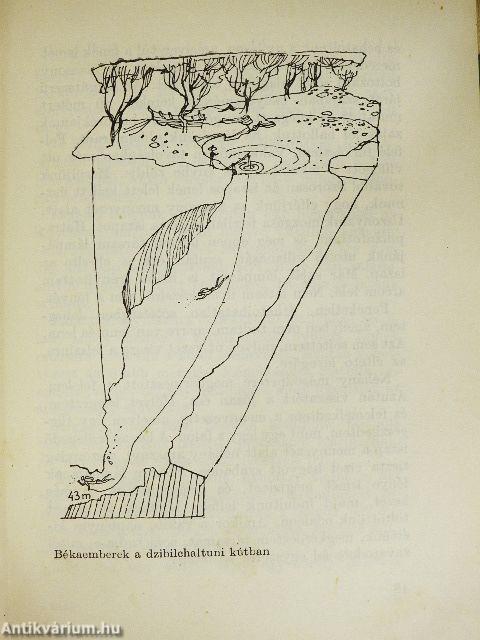 Ásatások a víz alatt