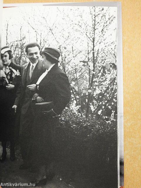 A Martian's Guide to Budapest