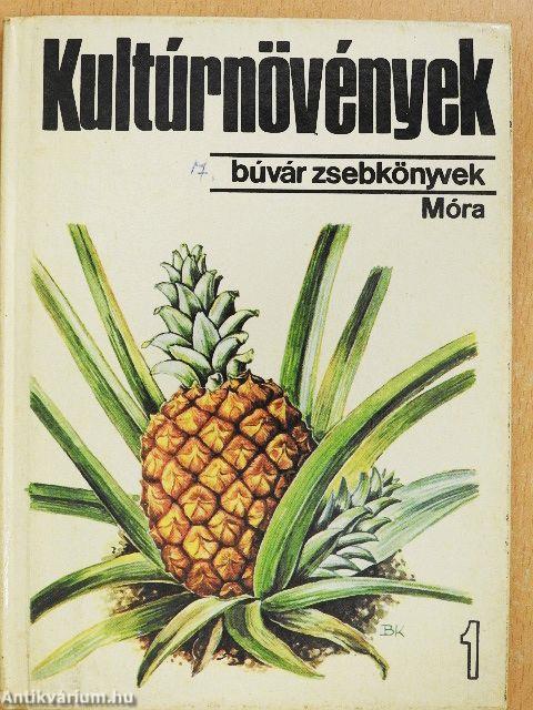 Kultúrnövények 1.