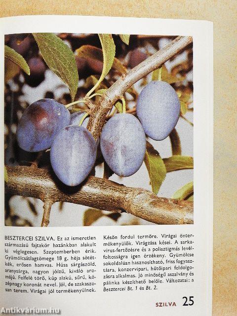 A gyümölcsfajtákról