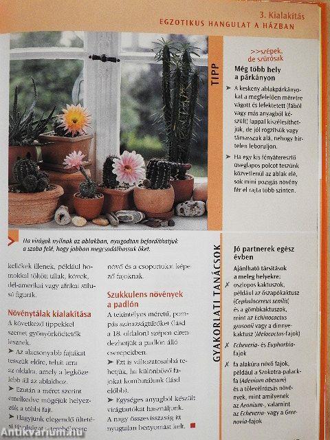 Kaktuszok és pozsgások