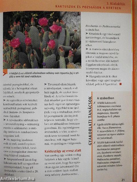 Kaktuszok és pozsgások