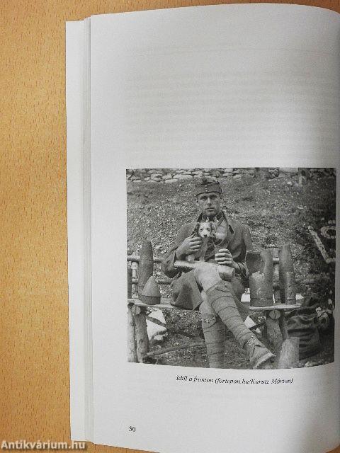 Európai testvérháború