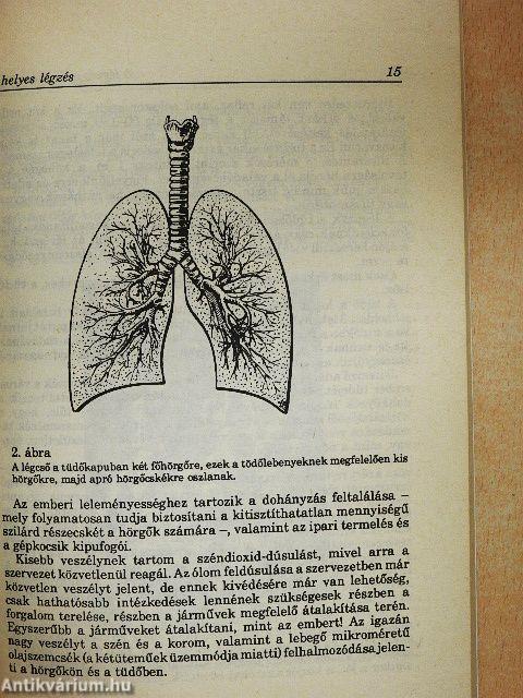 A légzés gyógyító hatása