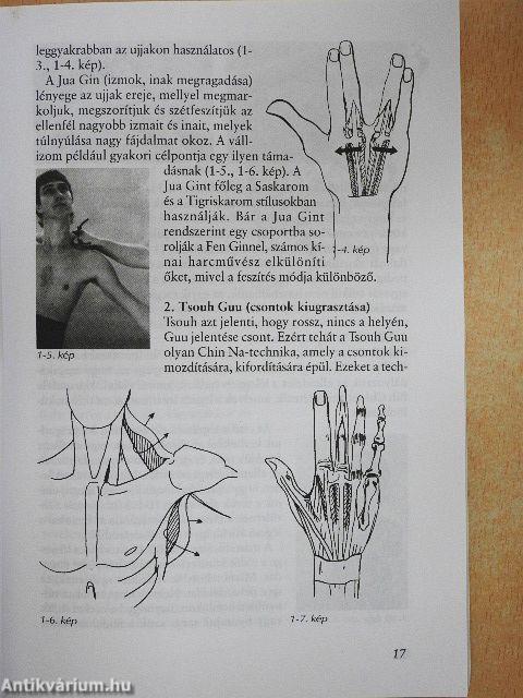 A Shaolin-kolostor Chin Na-technikái