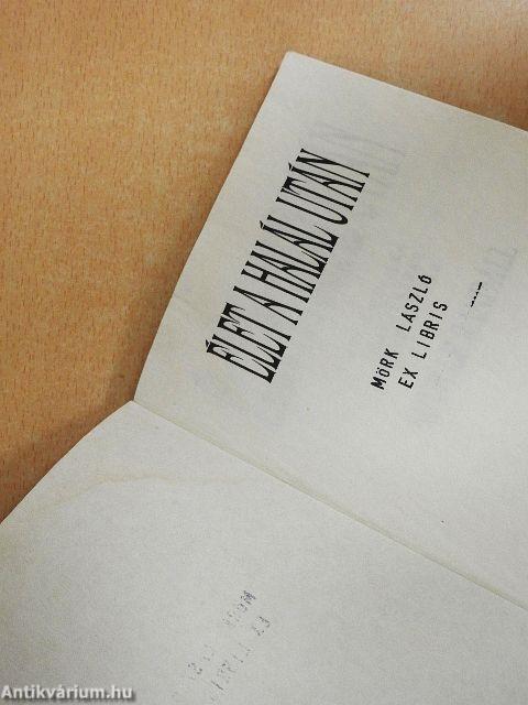 Élet a halál után