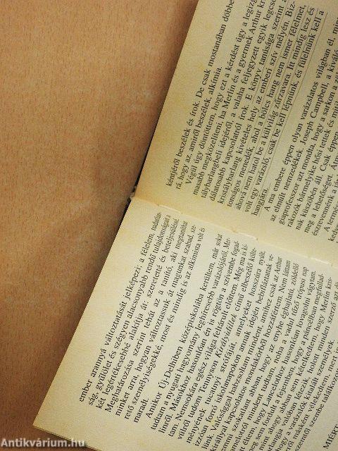 A varázsló mágiája