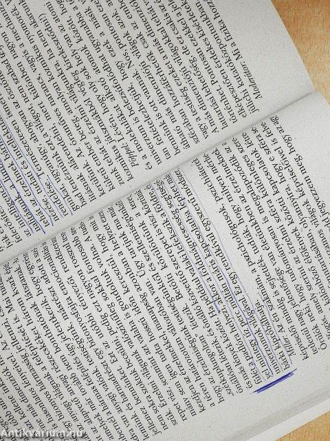 Párhuzamos univerzumok