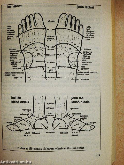 A láb- és talpmasszázs nagy könyve