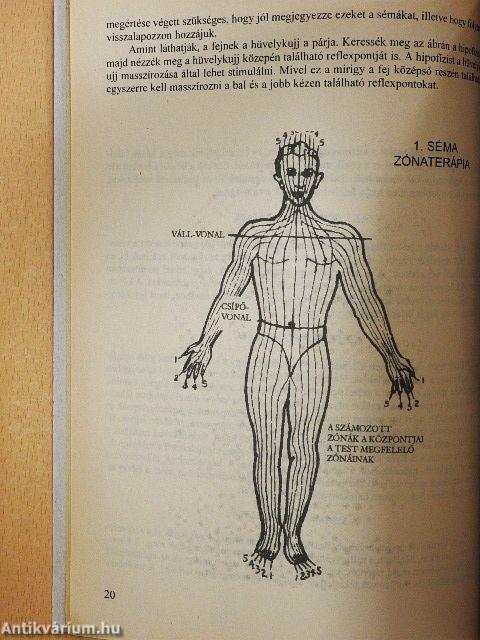 A kézmasszázs nagy könyve