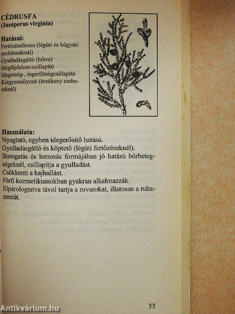 Gyógyítás Illóolajokkal