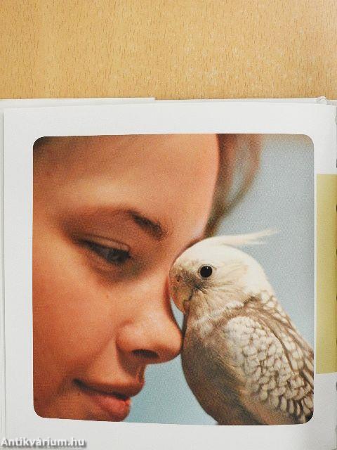 A barátok az élet napsugarai