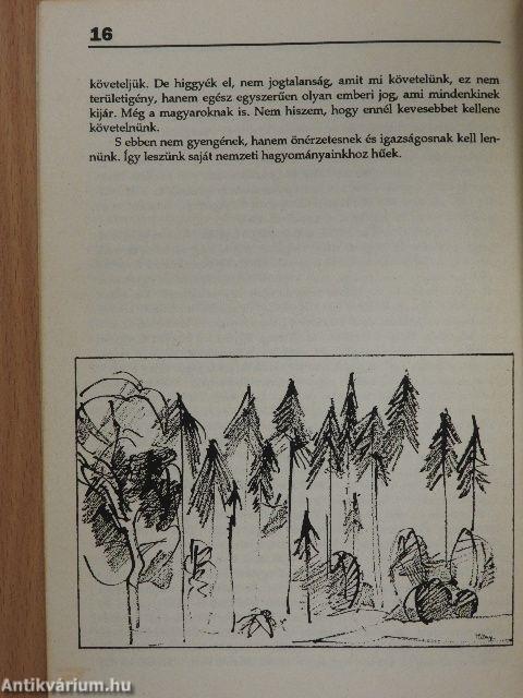 A nemzeti nyelv történeti útja