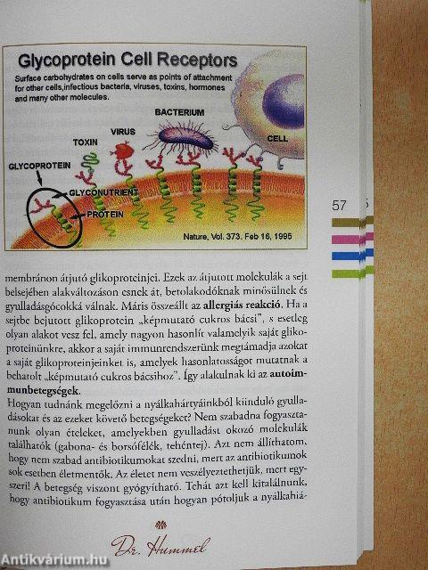 Edd magad egészségesebbé!