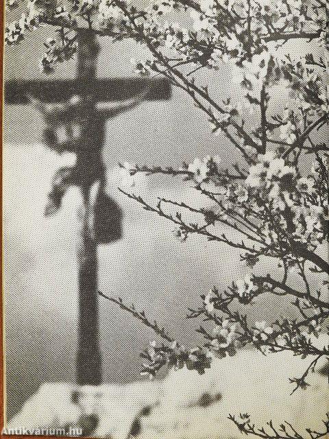 Beszélgetés a Mesterrel