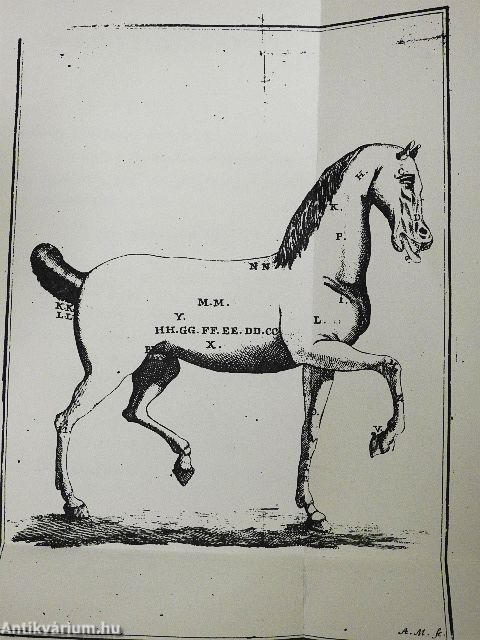 Lovakat orvosló-könyv