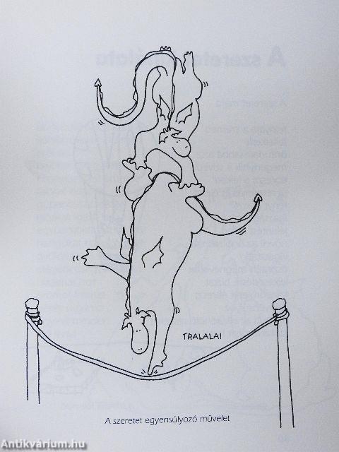 A szeretetgyógyászat kiskönyve