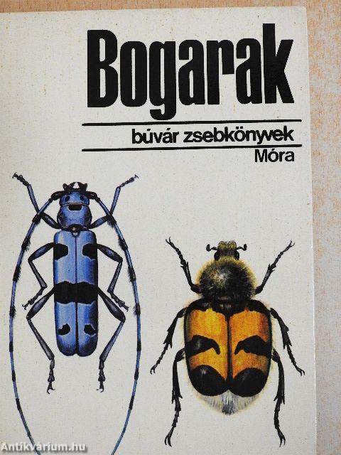 Bogarak