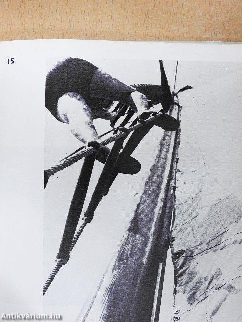 Moholy-Nagy László munkássága