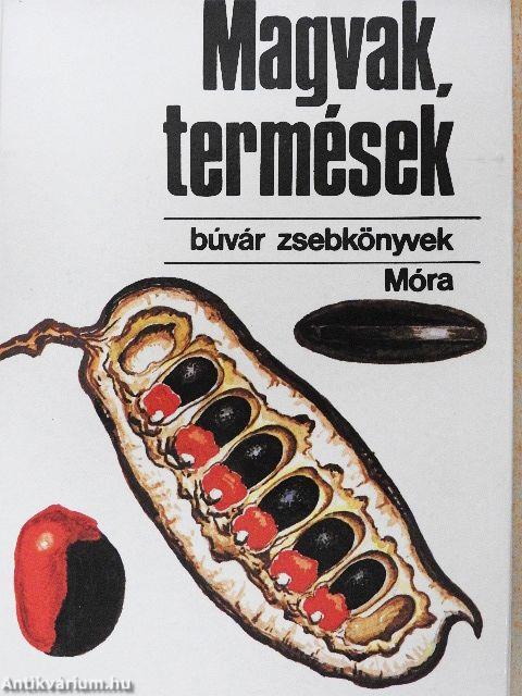 Magvak, termések