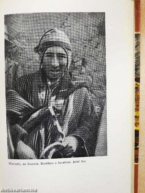 Mágikus Kordillerák