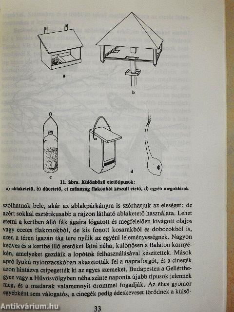 Gyakorlati madárvédelem