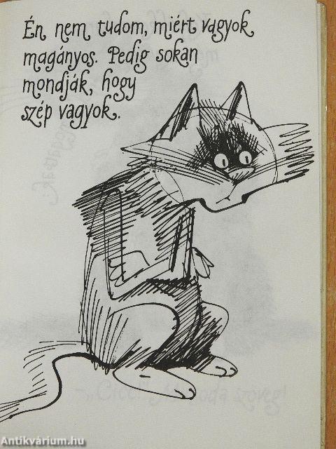 Kandúrhatnámságok