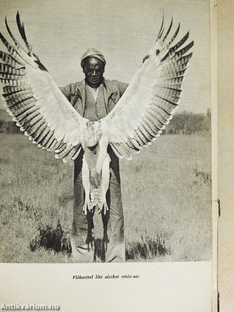 Afrikai tábortüzek