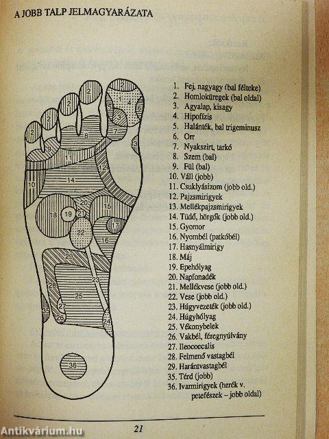 Gyógyteák-gyógykrémek-talpmasszázs