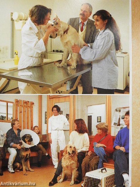 Beteg a kutyám - Kutyabetegségek