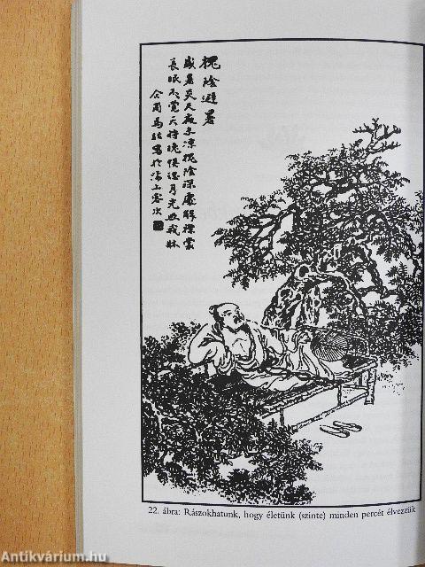 Titkos erőközpontunk, a Tantien