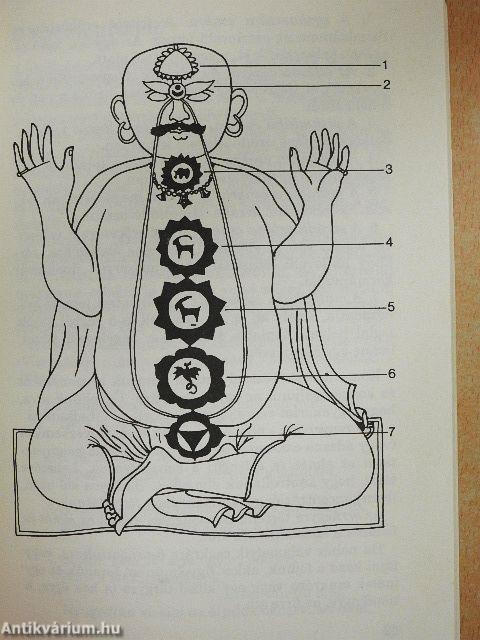 Akar-e fenomÉN lenni?