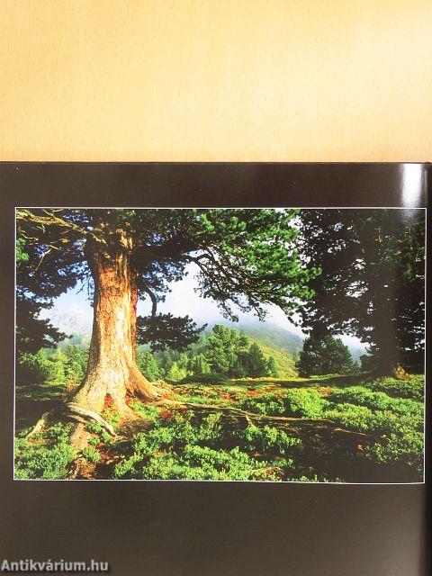 Természet és ember