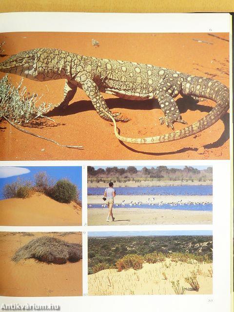 Ausztrália és Óceánia - CD-vel