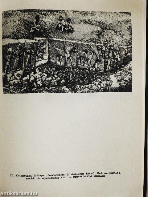 A hettiták regénye