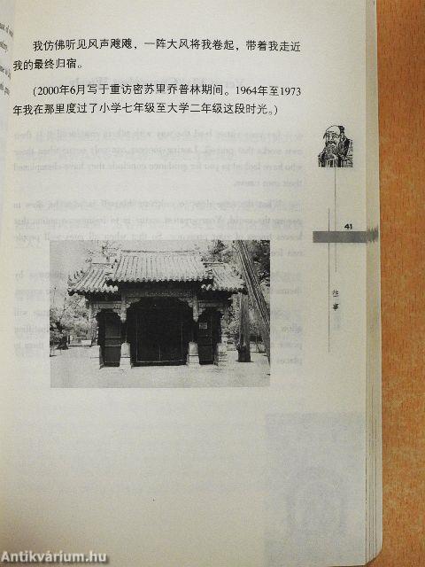 Thoughts on Becoming a Sage