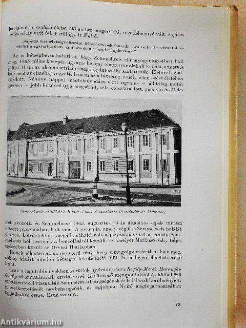 A magyar orvosi iskola mesterei