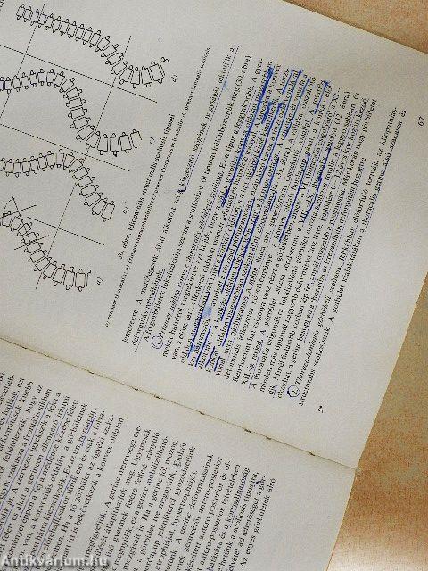 Az orthopaedia tankönyve