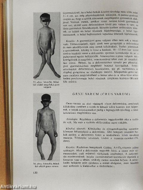 Az orthopaedia tankönyve