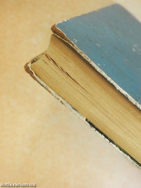 Nyolcvan nap alatt a föld körül/Dél csillaga