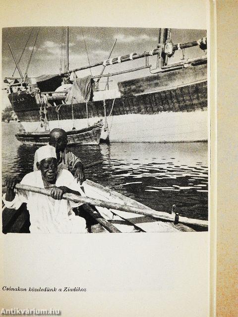 Jambó, Kilimandzsáró!