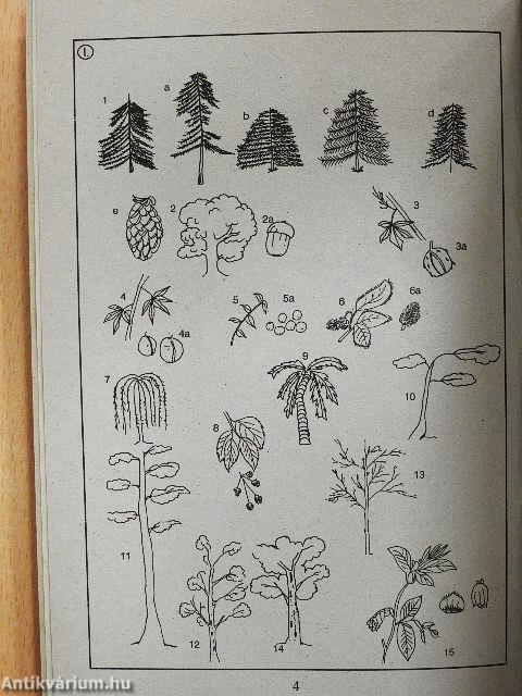 Német-magyar képes szótár